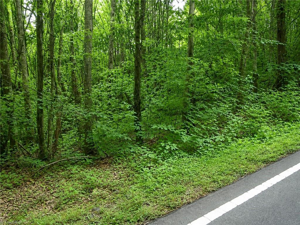 0 Sheppard Mill Road Property Photo 1