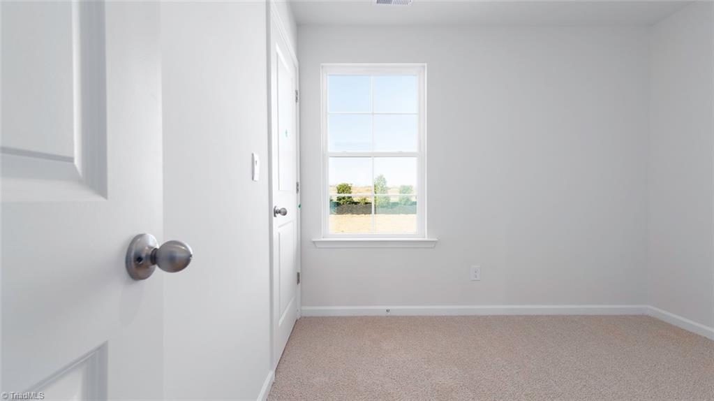 6276 Ashton Woods Lane Property Photo 16