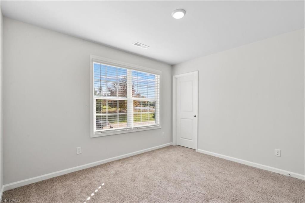 4198 Emmas Way Property Photo 19