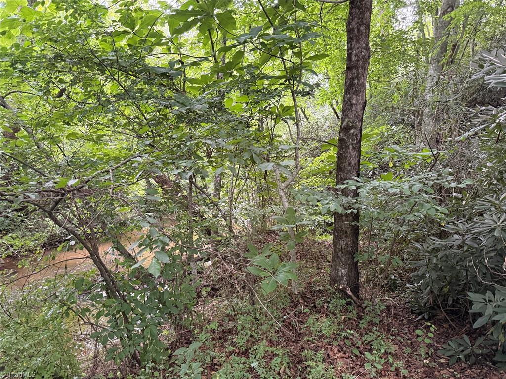0 Bryant Road Property Photo 4