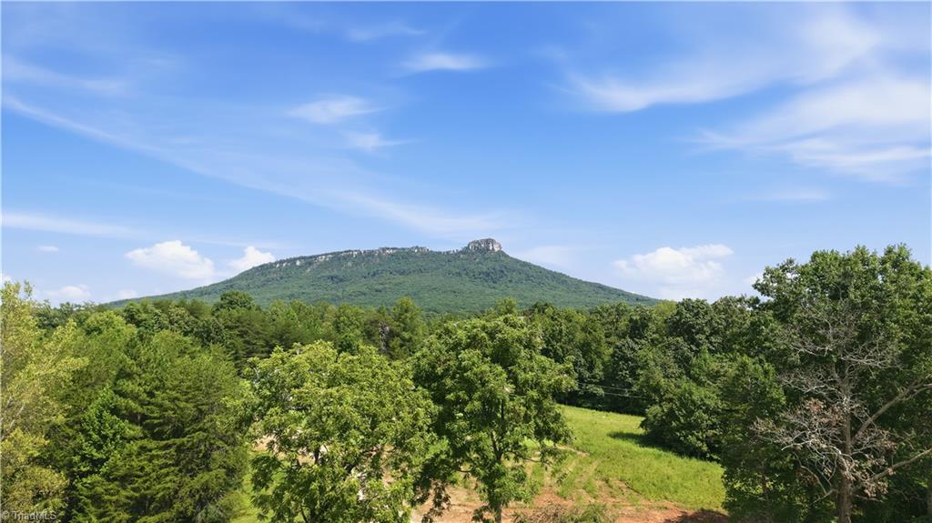 180 Great View Lane Property Photo 1