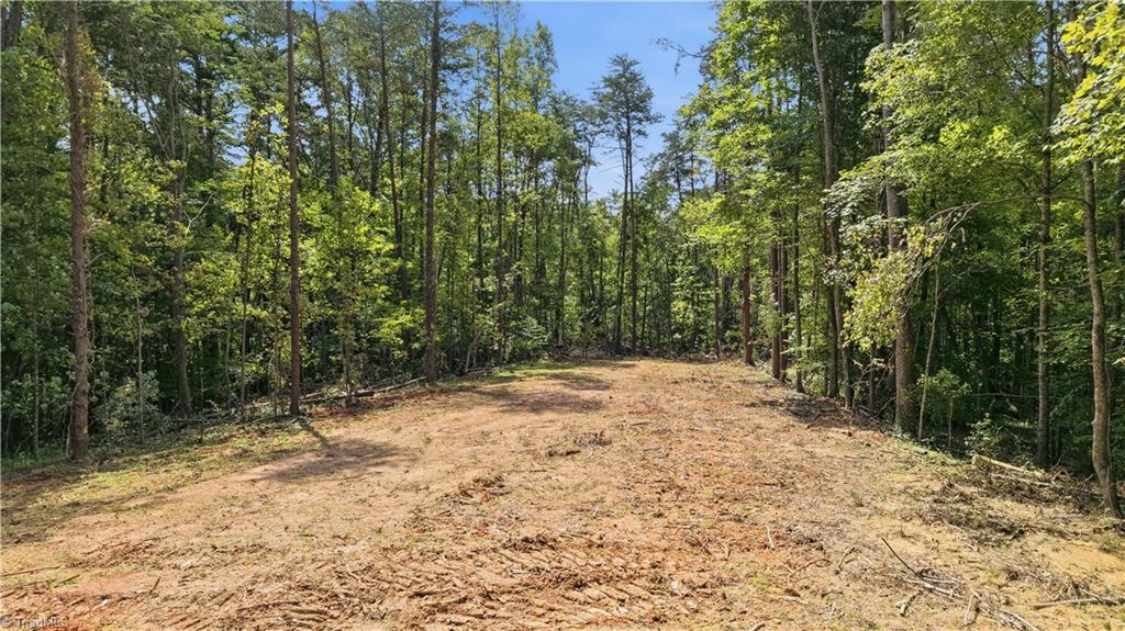 180 Great View Lane Property Photo 15