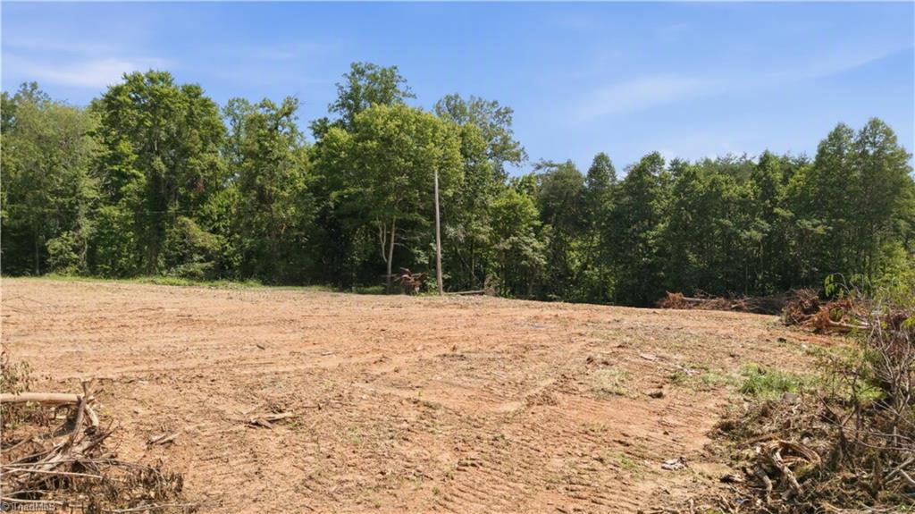 180 Great View Lane Property Photo 16