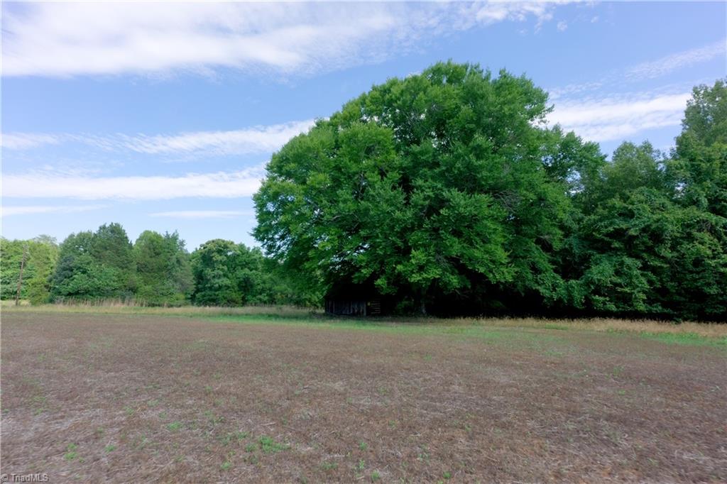 0 Tesh Road Property Photo 1