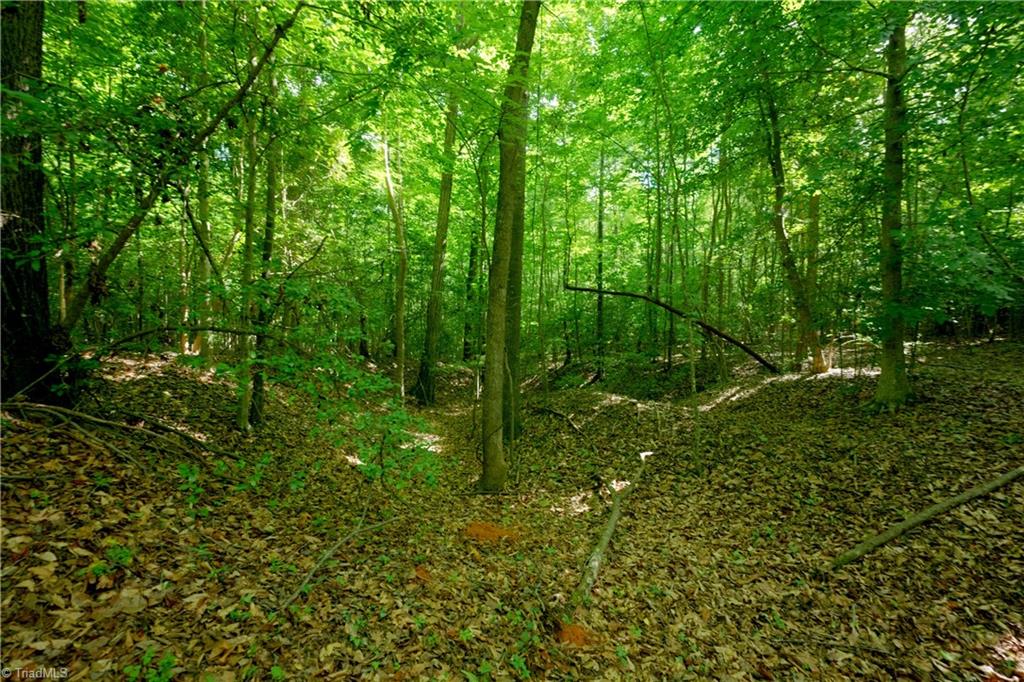 0 Tesh Road Property Photo 9