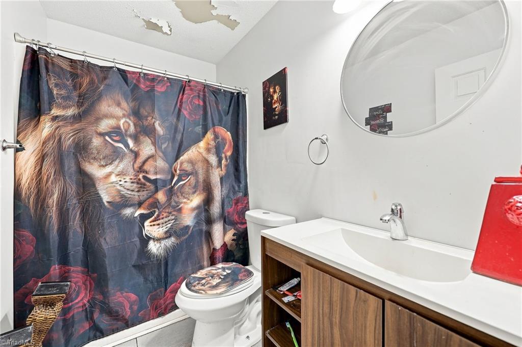 326 Bingham Street Property Photo 11