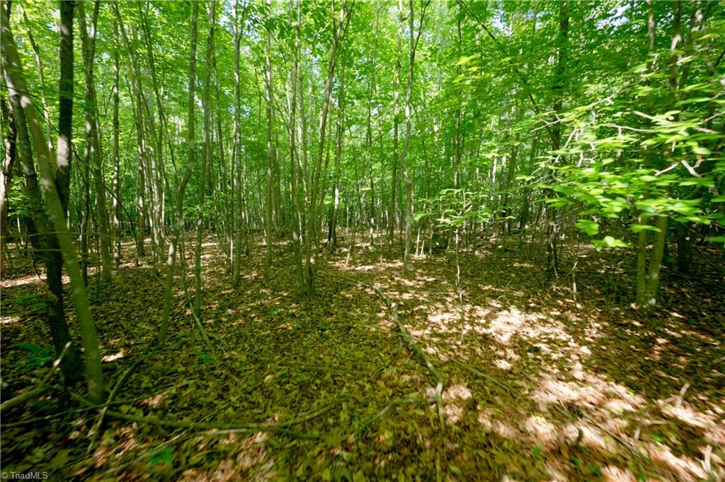 0 Tesh Road Property Photo 11