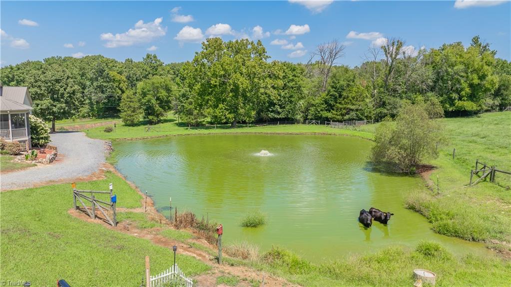 6851 Brantley Gordon Road Property Photo 40