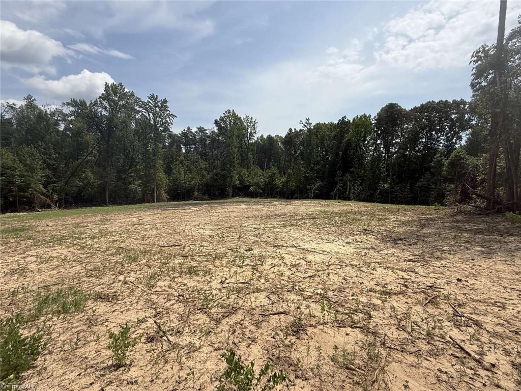 1011 Mill Ridge Road Property Photo 1