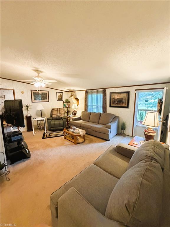 1094 Traphill Union Road Property Photo 12