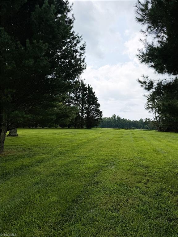 1094 Traphill Union Road Property Photo 30