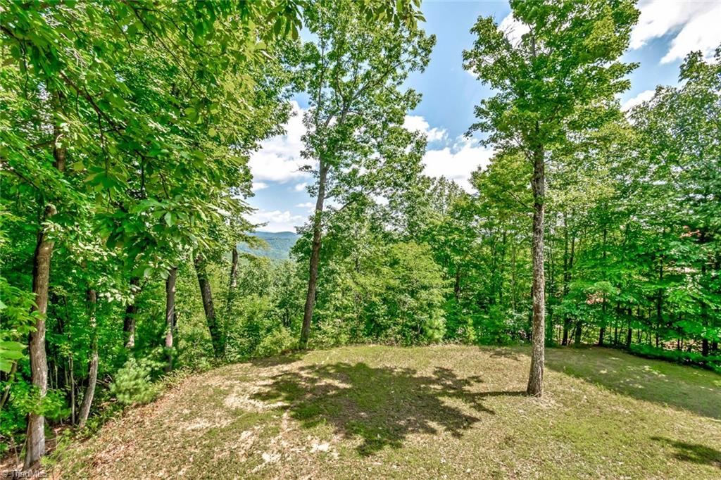1050 Staghorn Road Property Photo 20