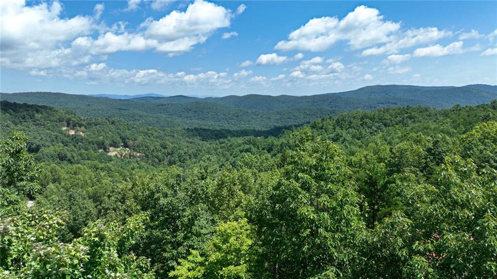 1050 Staghorn Road Property Photo 22