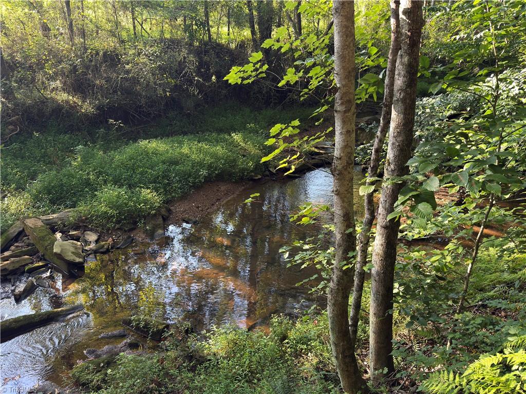 183 Key Valley Trail Property Photo 24
