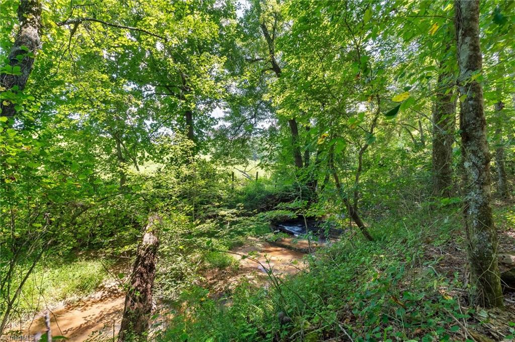 183 Key Valley Trail Property Photo 26