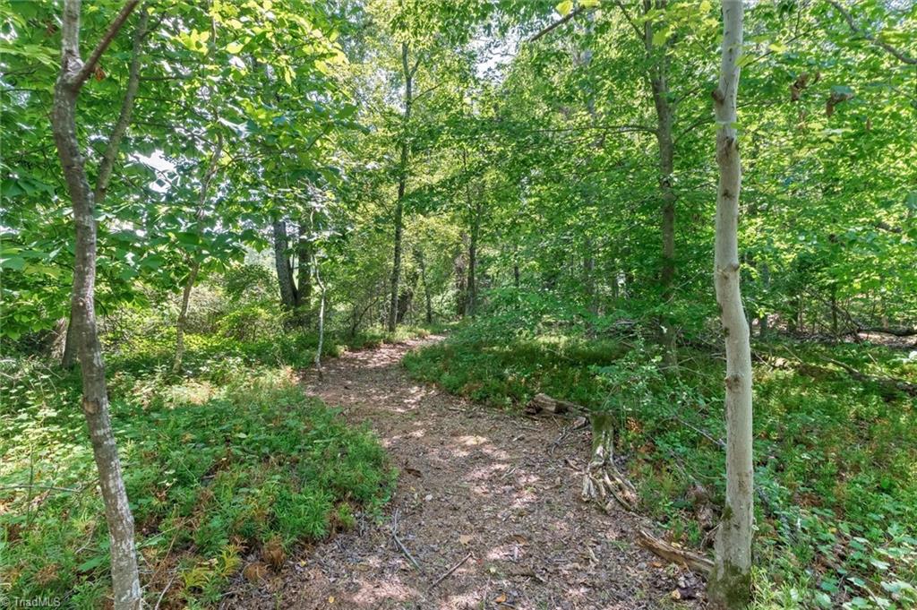 183 Key Valley Trail Property Photo 27