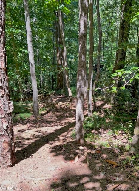 183 Key Valley Trail Property Photo 28