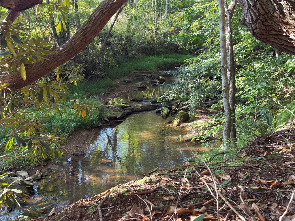 183 Key Valley Trail Property Photo 32