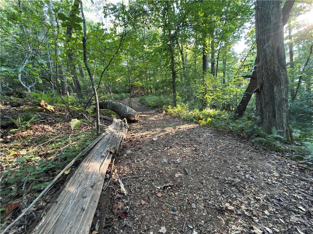 183 Key Valley Trail Property Photo 42