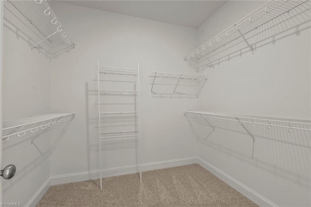 267 Cool Run Property Photo 21
