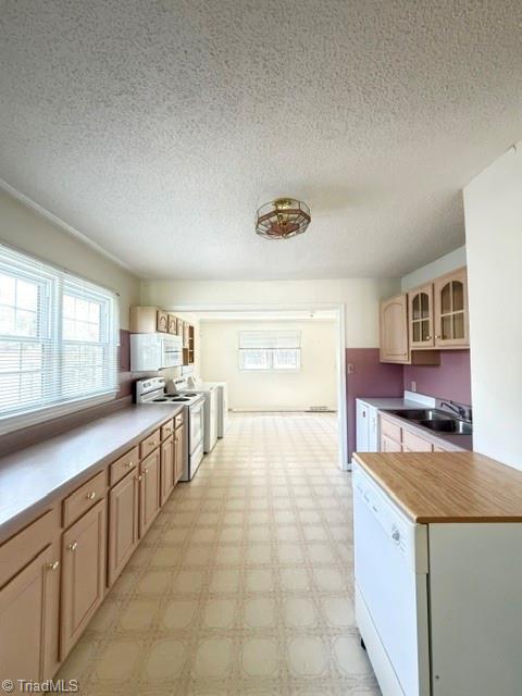 815 Rockett Street Property Photo 8