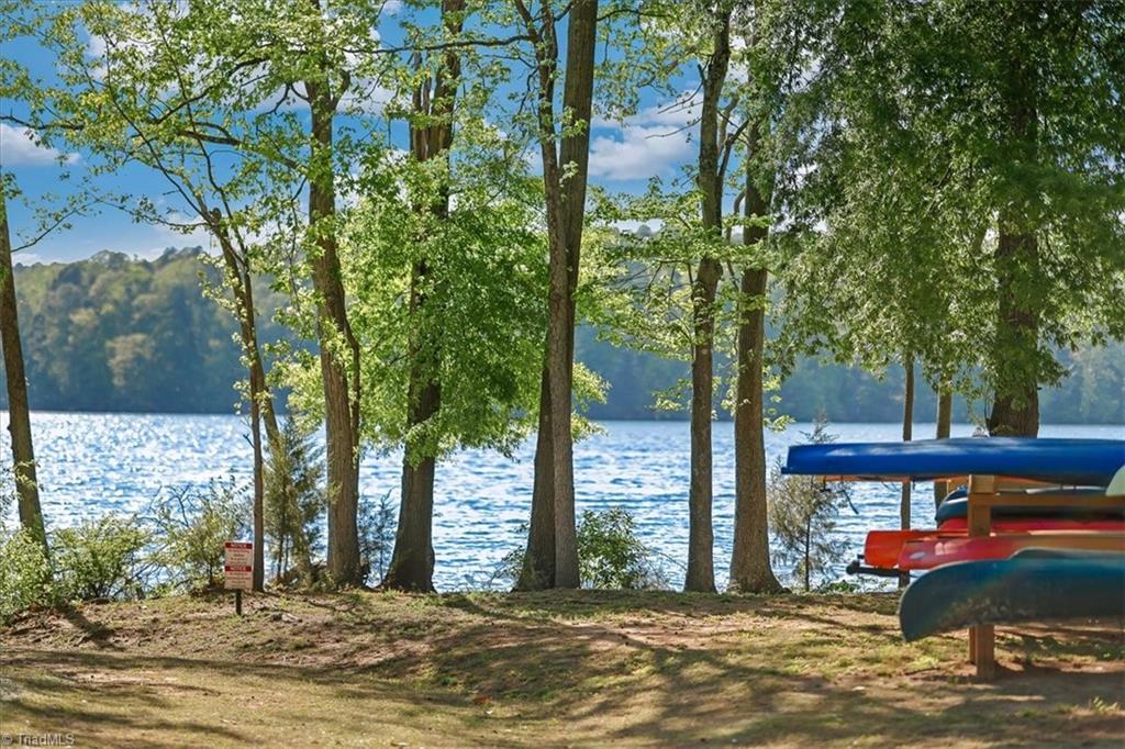 603 Spring Blossom Trace Property Photo 24