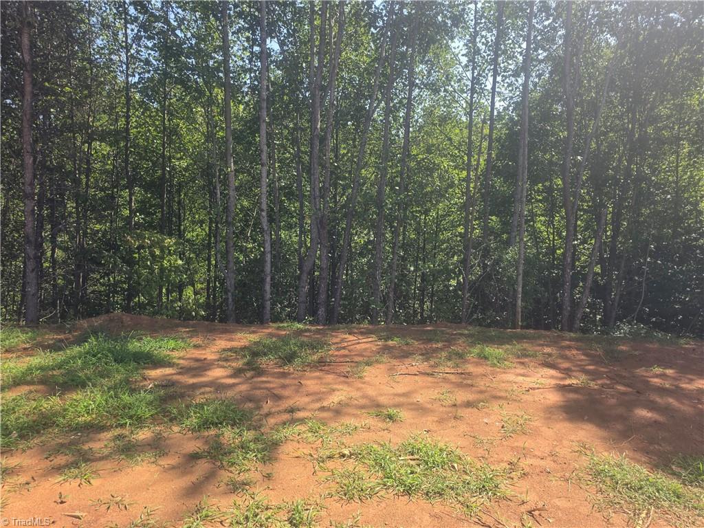 316 Scenic Drive Property Photo 4
