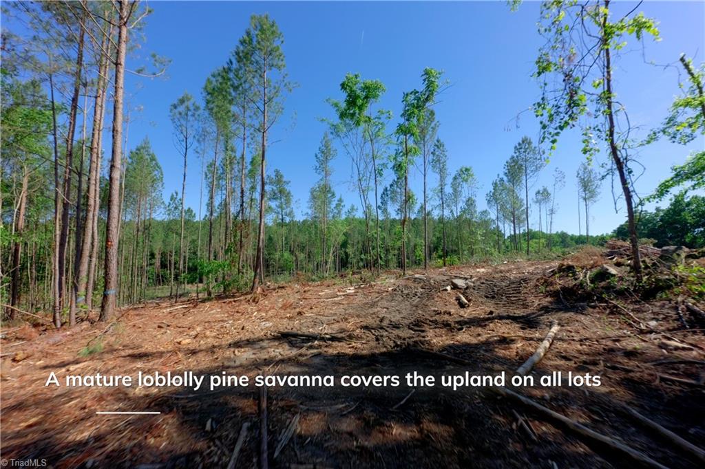 0 Carson Road Property Photo 5
