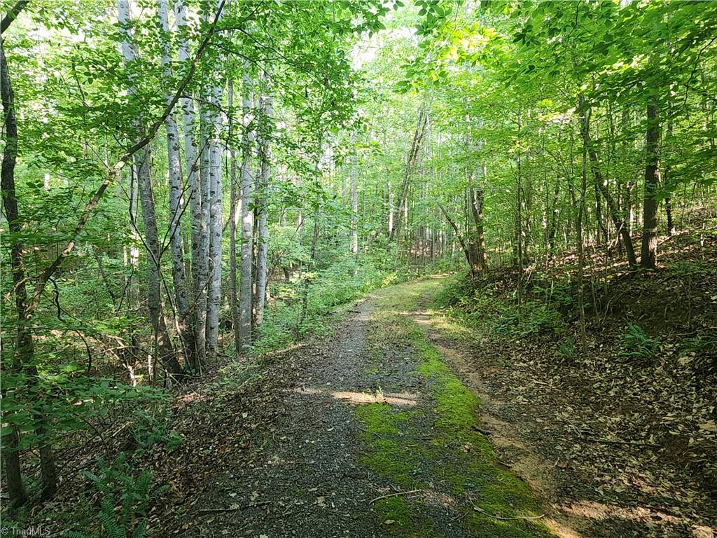 0 River Bluff Farms Road Property Photo 19