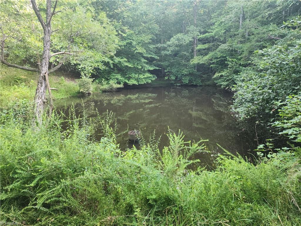 0 River Bluff Farms Road Property Photo 25