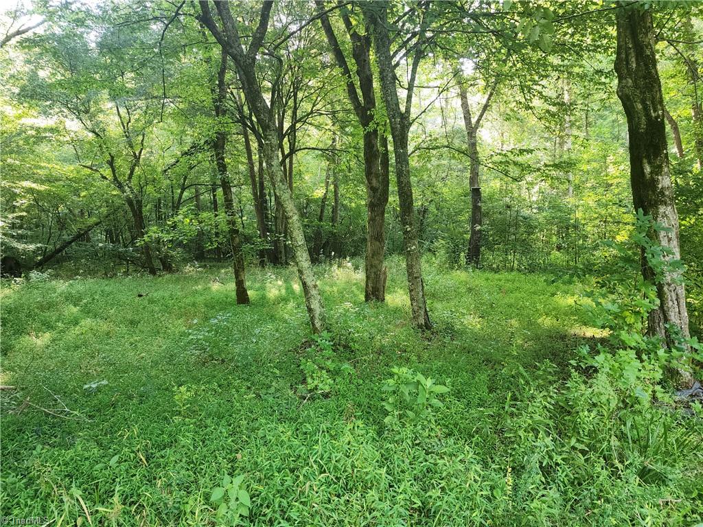 0 River Bluff Farms Road Property Photo 31