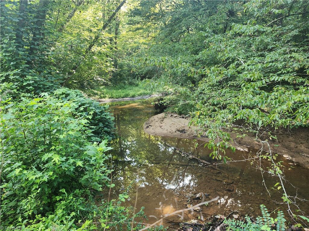 0 River Bluff Farms Road Property Photo 33