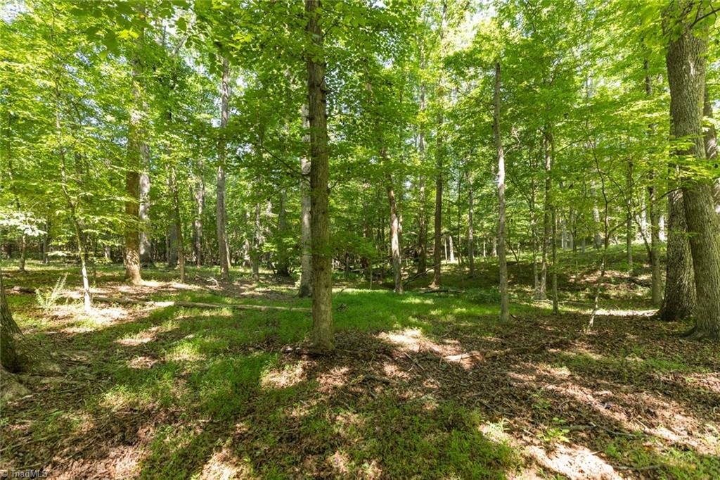 220 Collins Road Property Photo 37