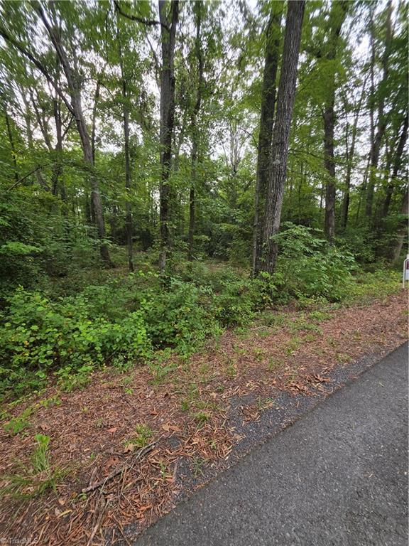 0 Golfers Drive Property Photo 14
