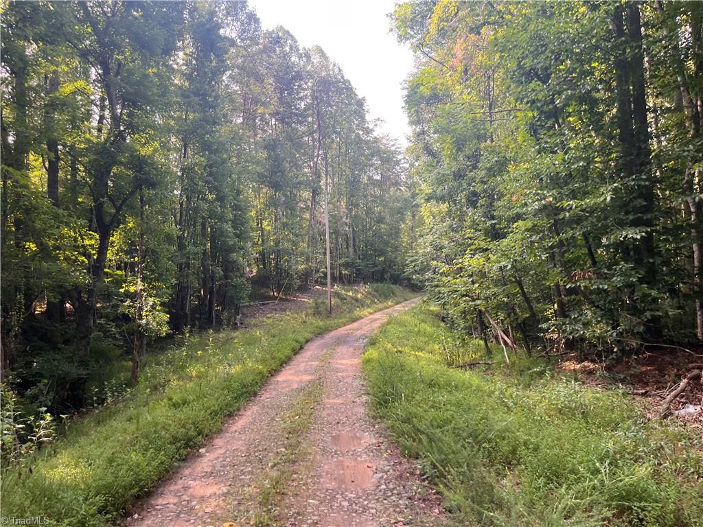 1170 Timber Ridge Road Property Photo 1