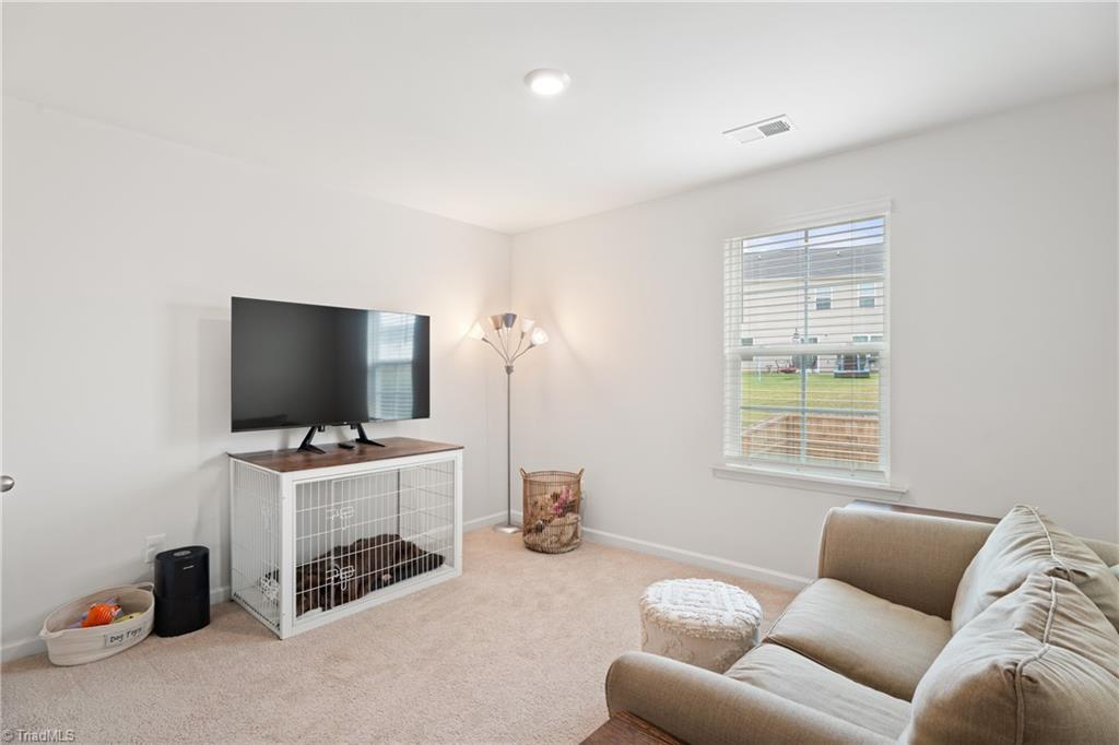 162 East Farm Loop Property Photo 20
