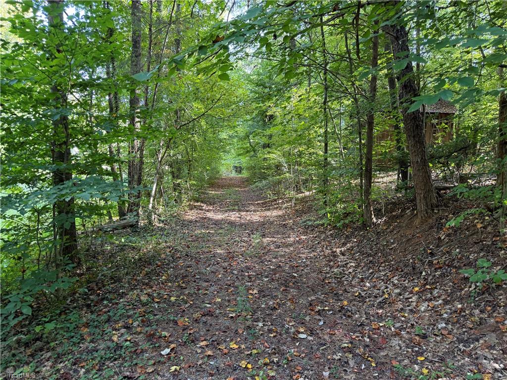921 Tobaccoville Road Property Photo 17