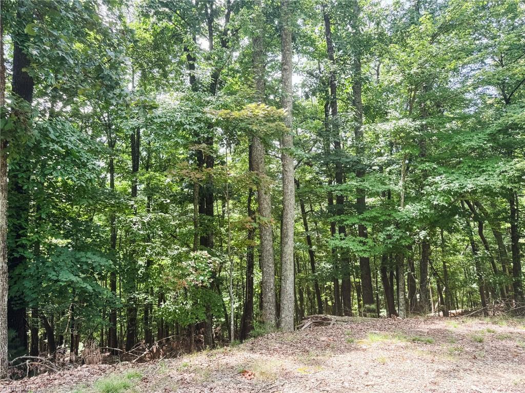 Tbd Timber Ridge Road Property Photo 2