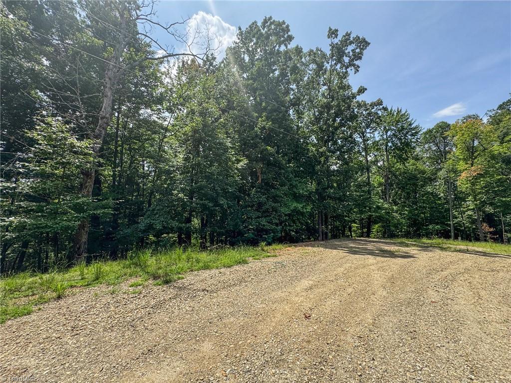 Tbd Timber Ridge Road Property Photo 4