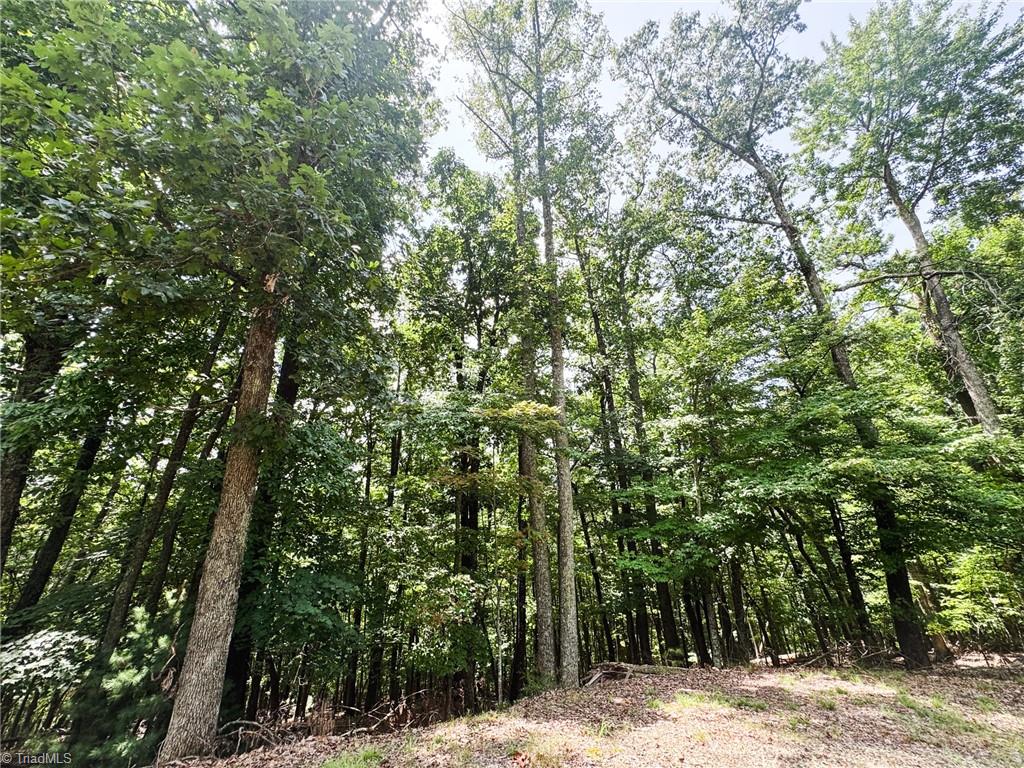 Tbd Timber Ridge Road Property Photo 5