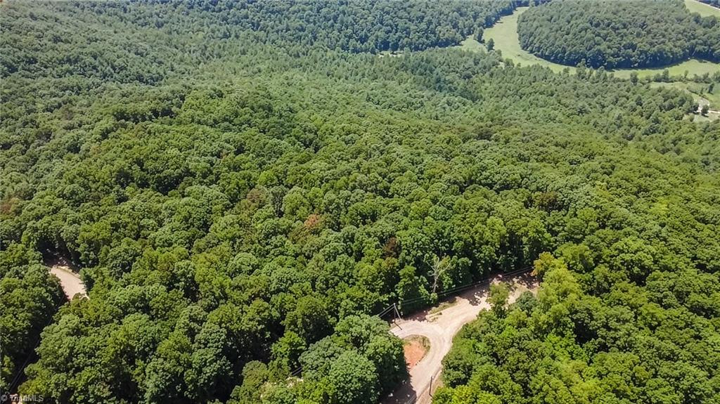 Tbd Timber Ridge Road Property Photo 6