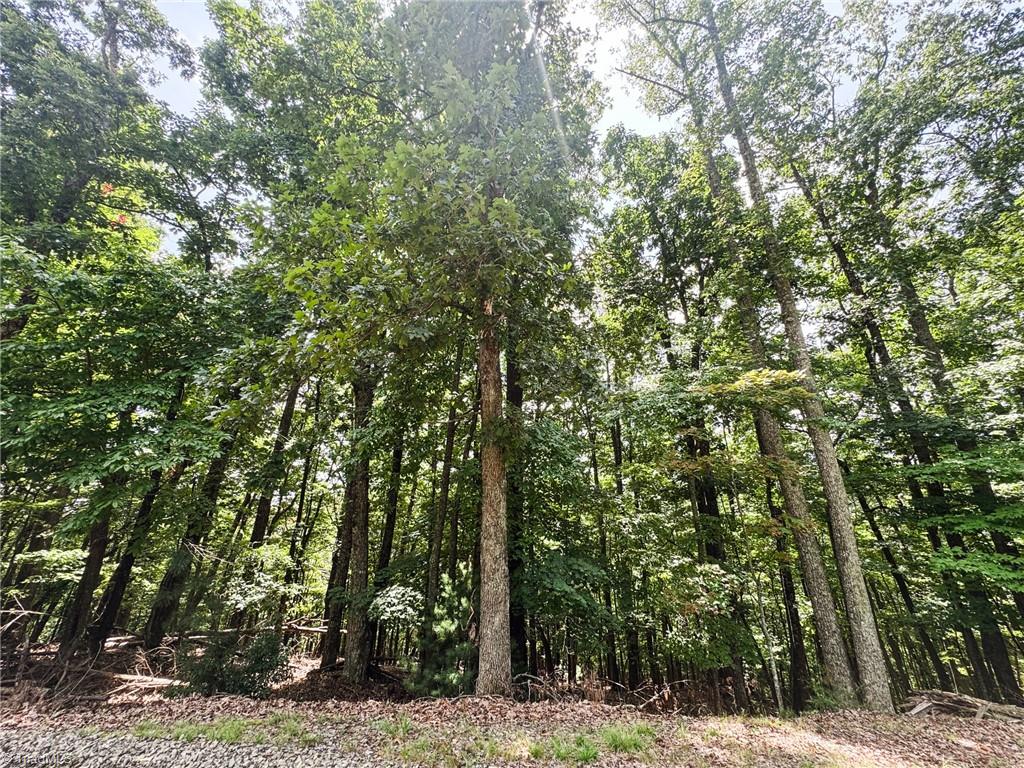 Tbd Timber Ridge Road Property Photo 7