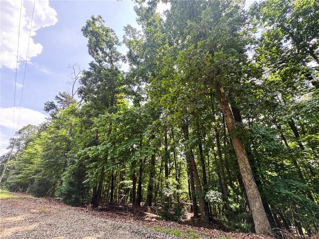 Tbd Timber Ridge Road Property Photo 8