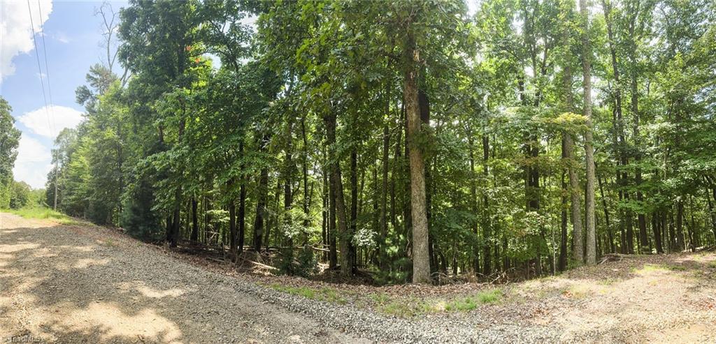 Tbd Timber Ridge Road Property Photo 9