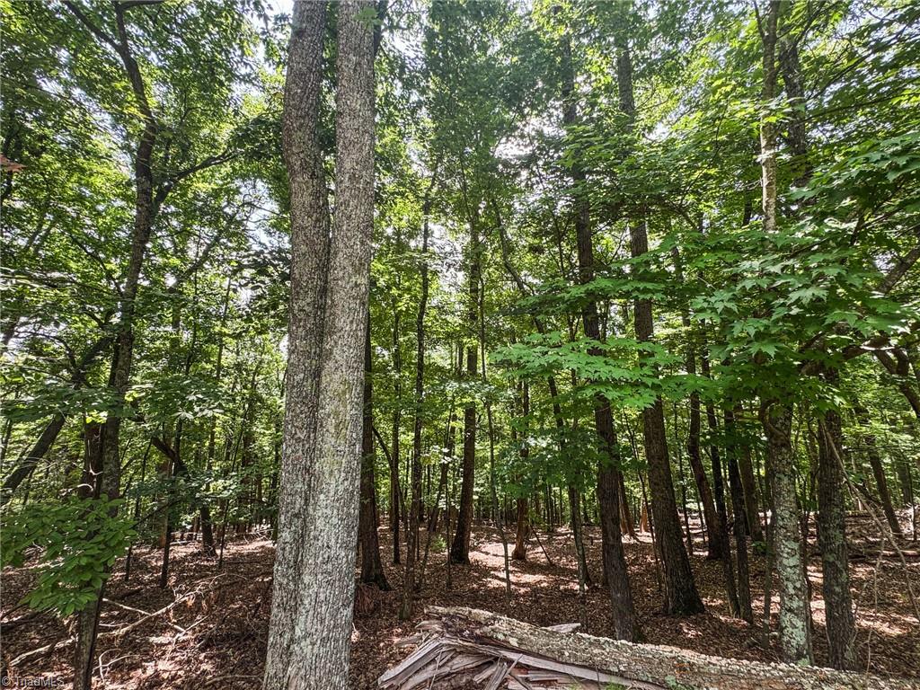 Tbd Timber Ridge Road Property Photo 10