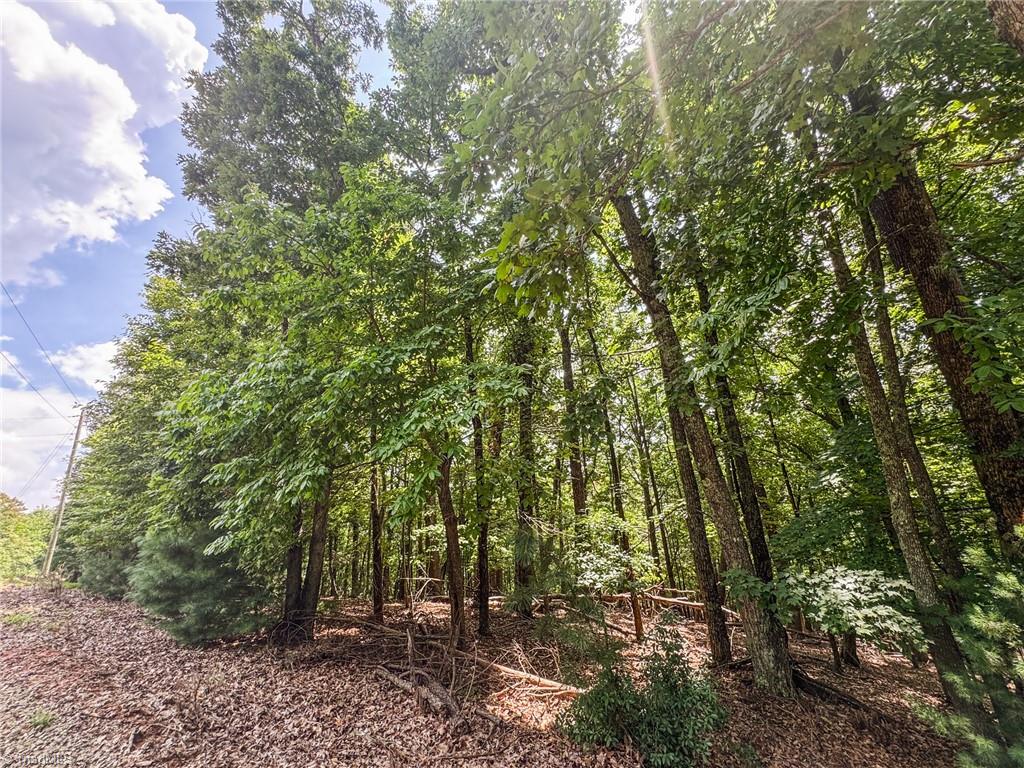 Tbd Timber Ridge Road Property Photo 12