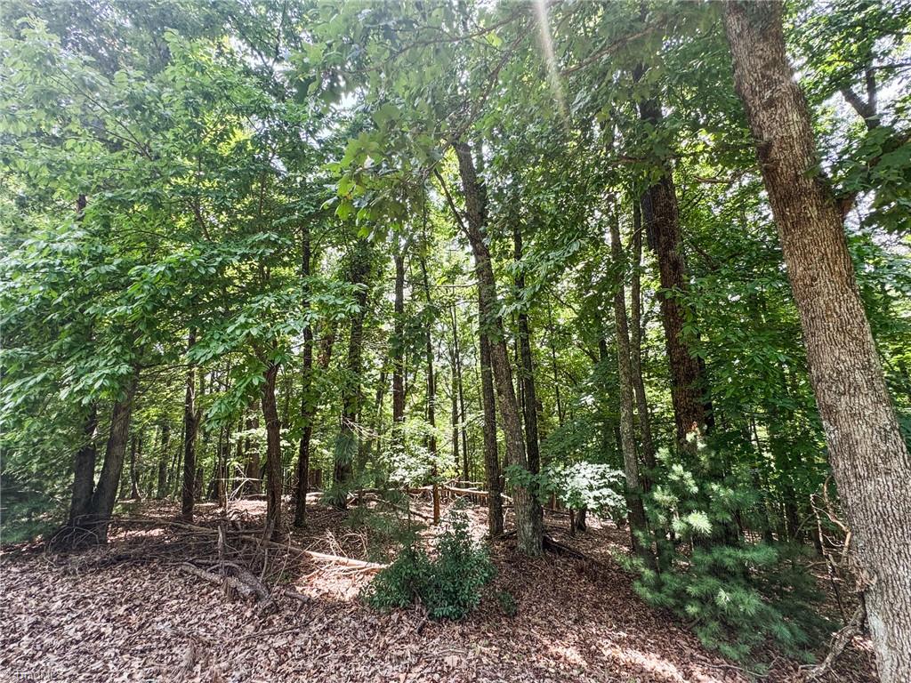 Tbd Timber Ridge Road Property Photo 13