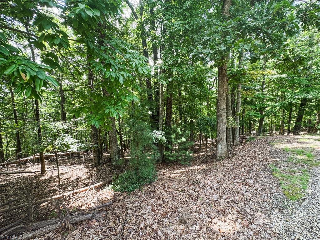 Tbd Timber Ridge Road Property Photo 14