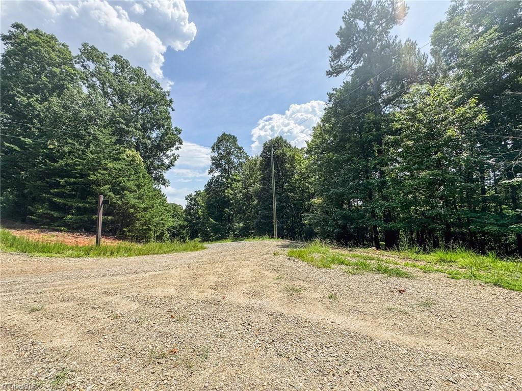 Tbd Timber Ridge Road Property Photo 15