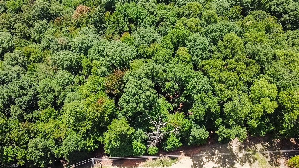 Tbd Timber Ridge Road Property Photo 17